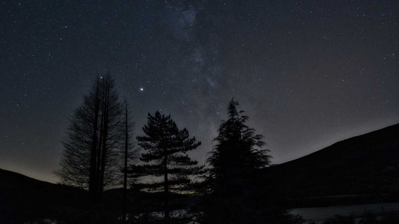 Beautiful stars in the sky over a forest of trees.