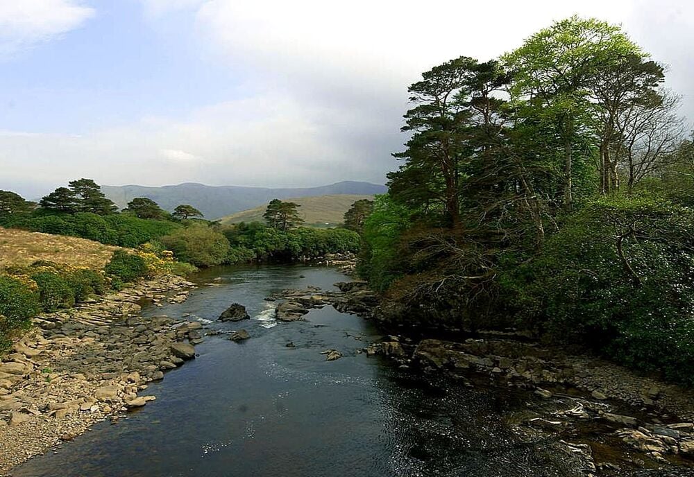 A river winding through trees