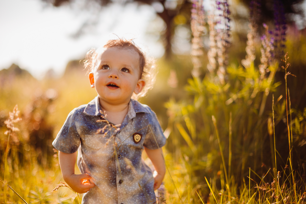 Baby boy in a field of lavender