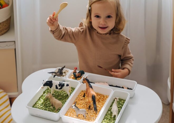 The Final Information to Dried Bean Sensory Bins